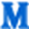 MemberGate Favicon