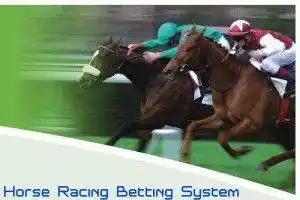 Homepage - Horse Racing Betting Systems Review