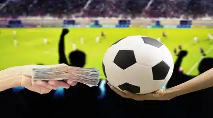 Homepage - Soccer Betting Systems Review