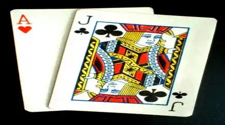 Homepage - Blackjack Softwares Review