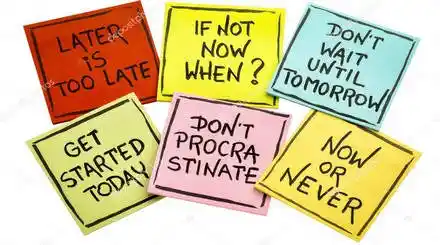 Homepage - Fighting Procrastination Courses Review