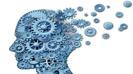 Homepage - Memory Improving Courses Review