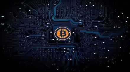Homepage - Cryptocurrency Softwares Review