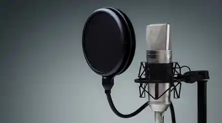Homepage - Voice Over Services Review
