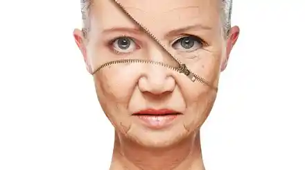 Homepage - Anti Aging Products Review