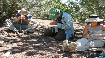 Homepage - Survival Courses Review