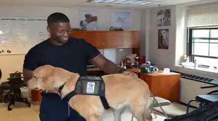 Homepage - Animal Training Programs Review