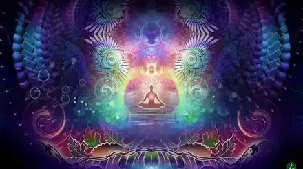 Homepage - New Age Products Review
