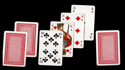Homepage - Poker Softwares Review