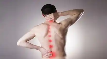 Homepage - Body Pain Courses Review